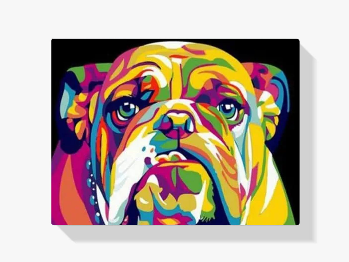 Malen nach Zahlen – Farbige Bulldogge