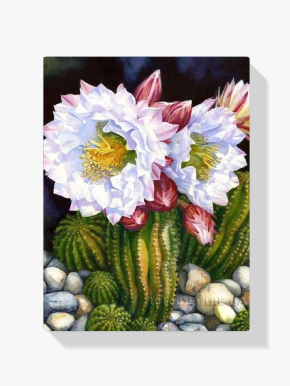 Malen nach Zahlen – Kaktusblüten