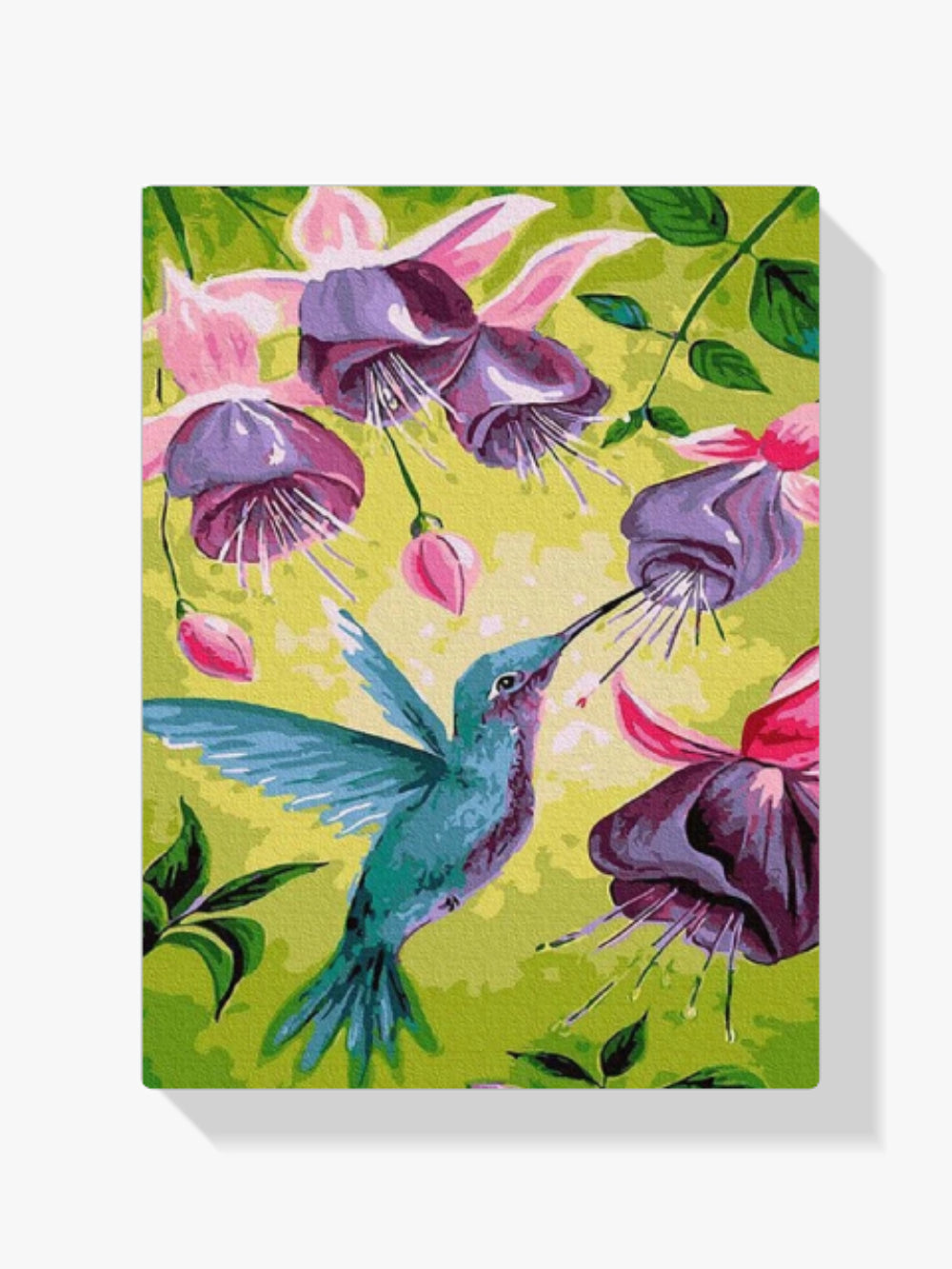 Malen nach Zahlen – Kolibri