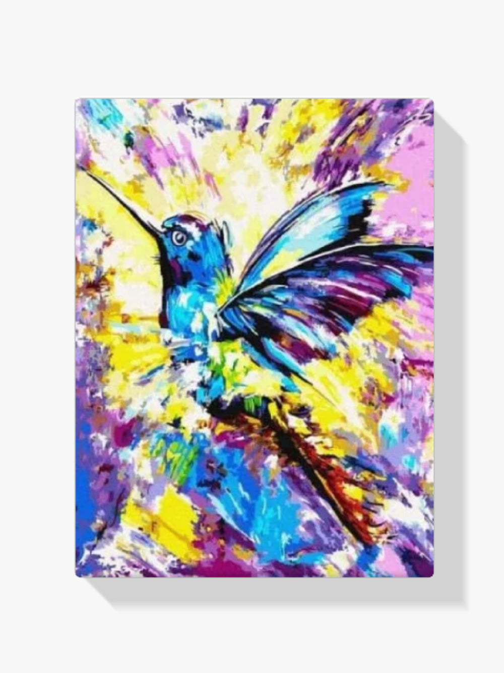 Malen nach Zahlen – Kolibri