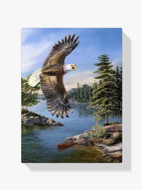 Malen nach Zahlen – Kulturerbe Adler