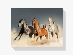 Malen nach Zahlen – Pferde im Galopp