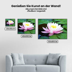 Malen nach Zahlen – Rosa Seerose