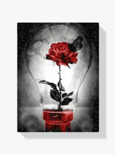 Malen nach Zahlen – Rose in Lampe