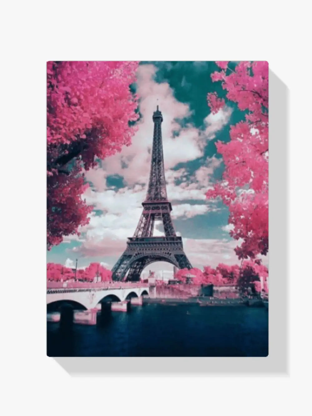 Malen nach Zahlen – Rosen in Paris