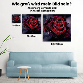 Malen nach Zahlen – Rote Rose