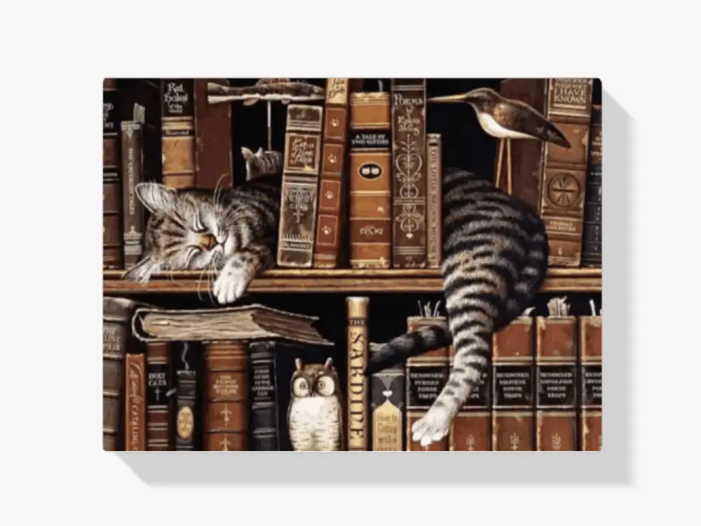 Malen nach Zahlen – Schlafende Katze in der Bibliothek