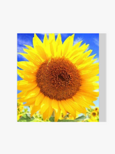 Malen nach Zahlen – Schöne Sonnenblume