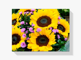 Malen nach Zahlen – Schöne Sonnenblumen