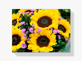 Malen nach Zahlen – Schöne Sonnenblumen