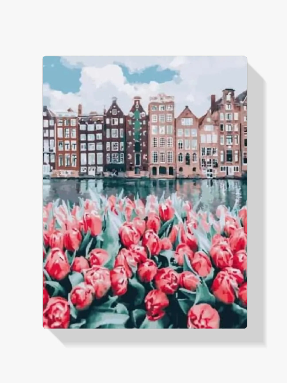 Malen nach Zahlen – Schöne Tulpen