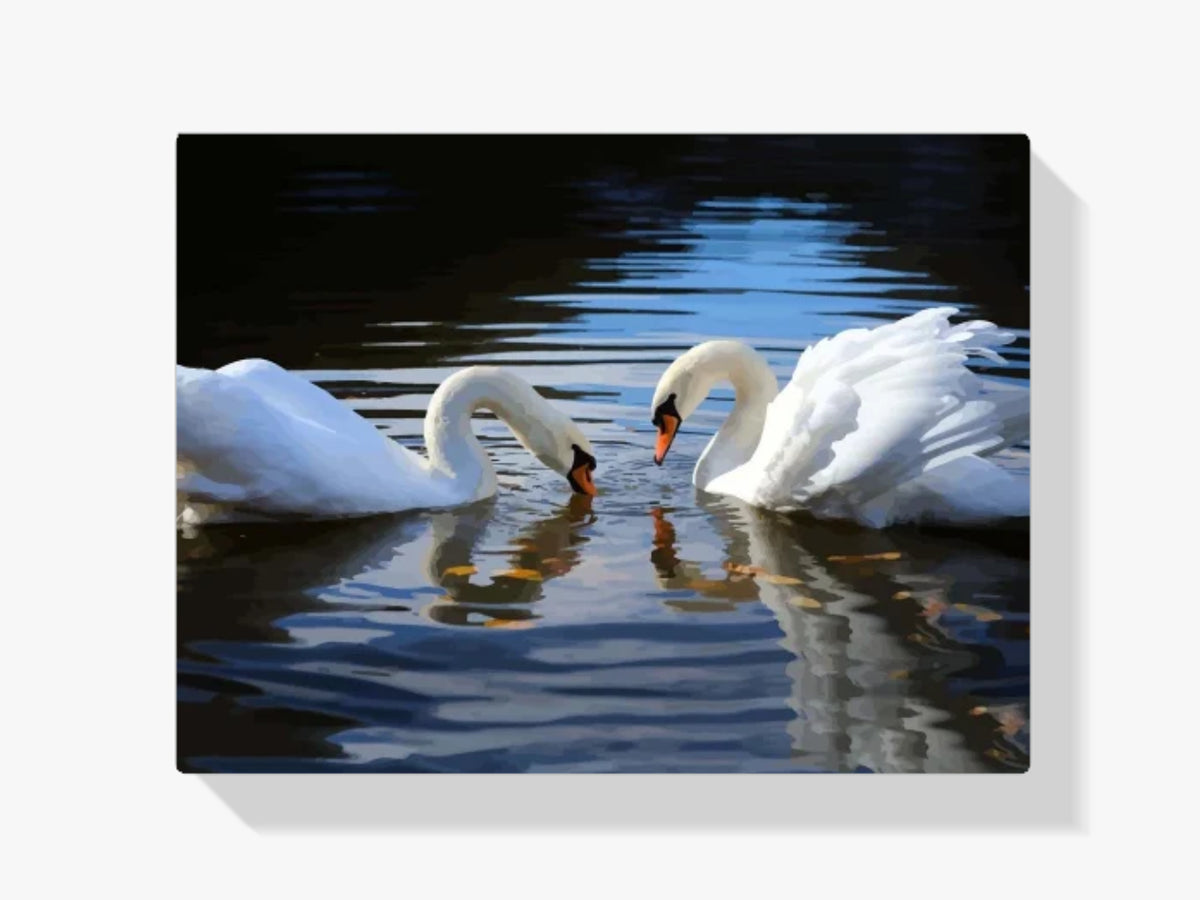 Malen nach Zahlen – Schwäne auf dem See