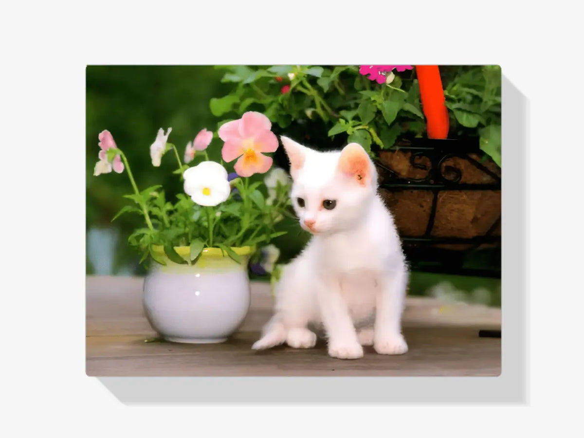 Malen nach Zahlen – Weiße Katze mit Blumen in Vase