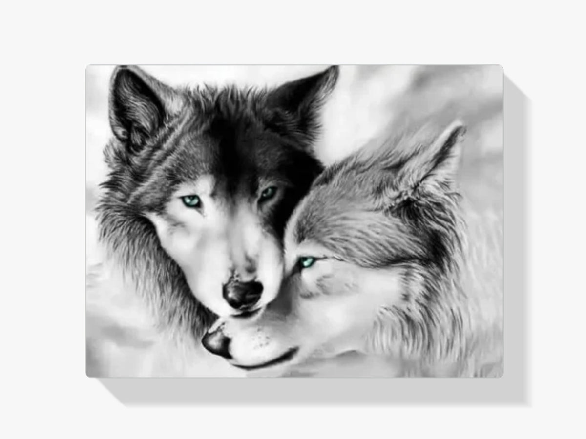 Malen nach Zahlen – Weißes Wolfs-Paar