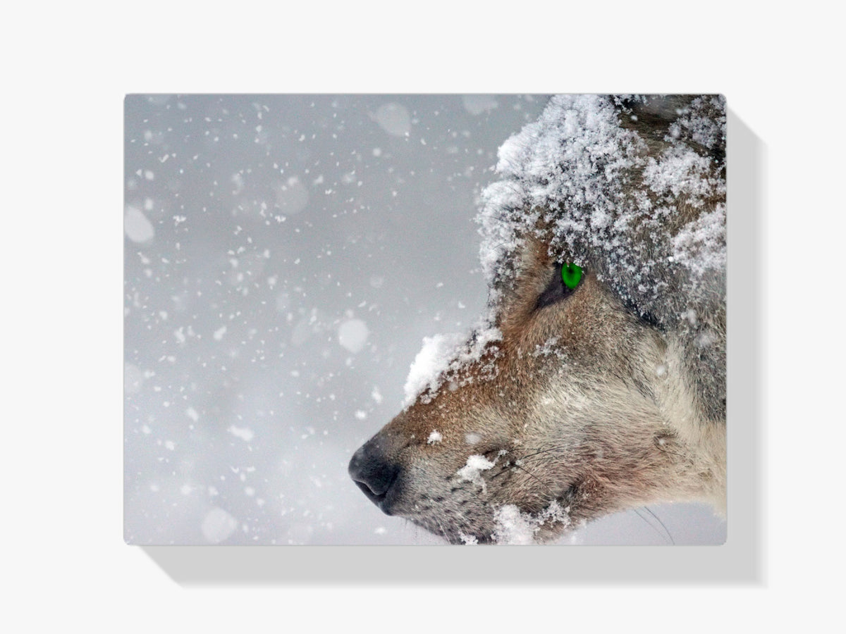 Malen nach Zahlen – Wolf Voll