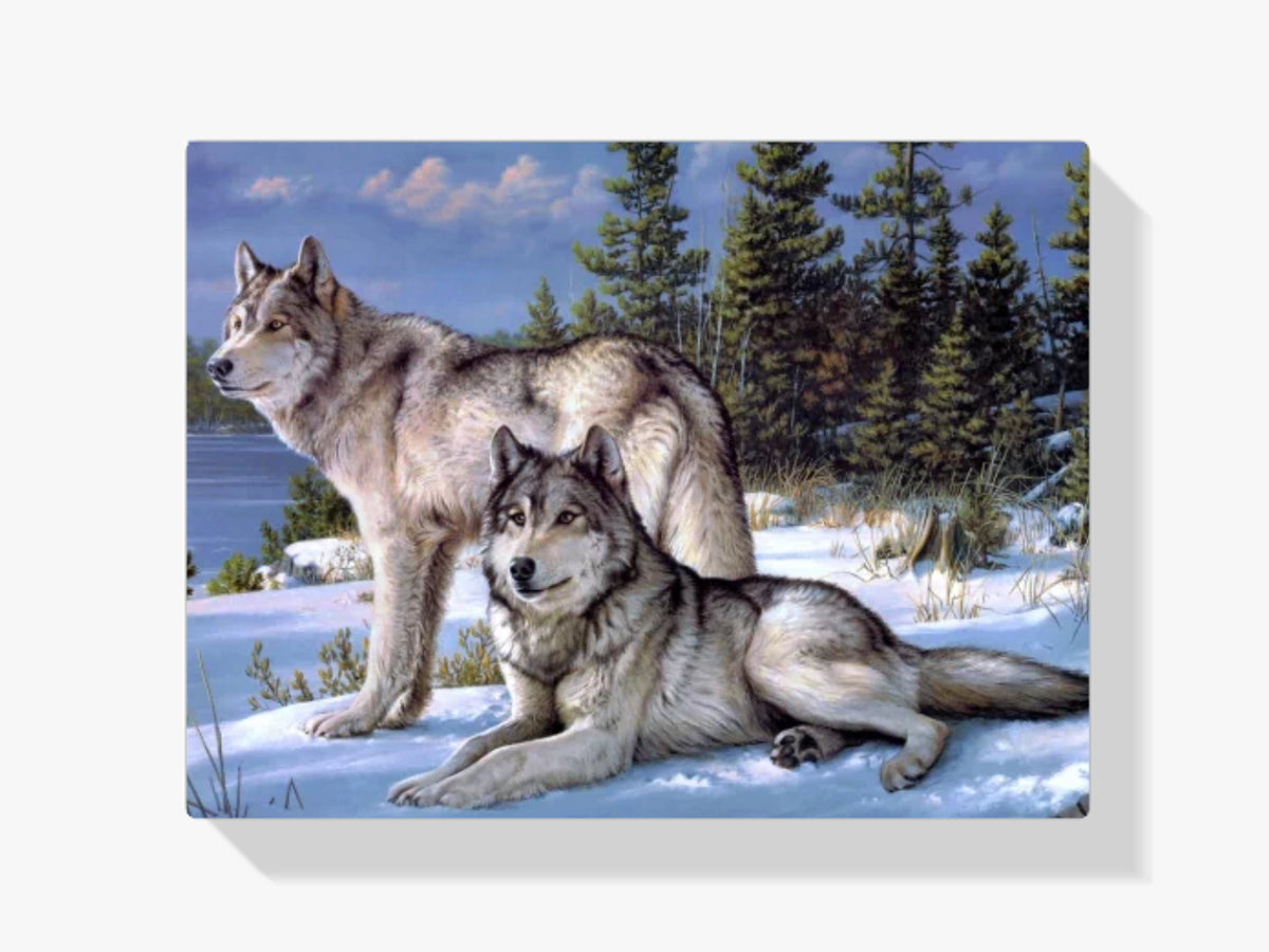 Malen nach Zahlen – Wolfspaar