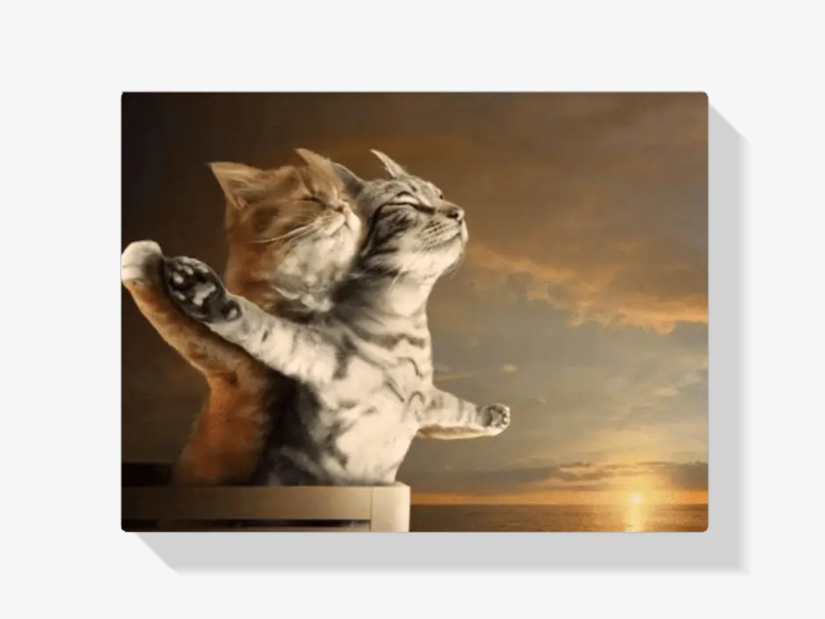 Malen nach Zahlen – Zwei Katzen Titanic