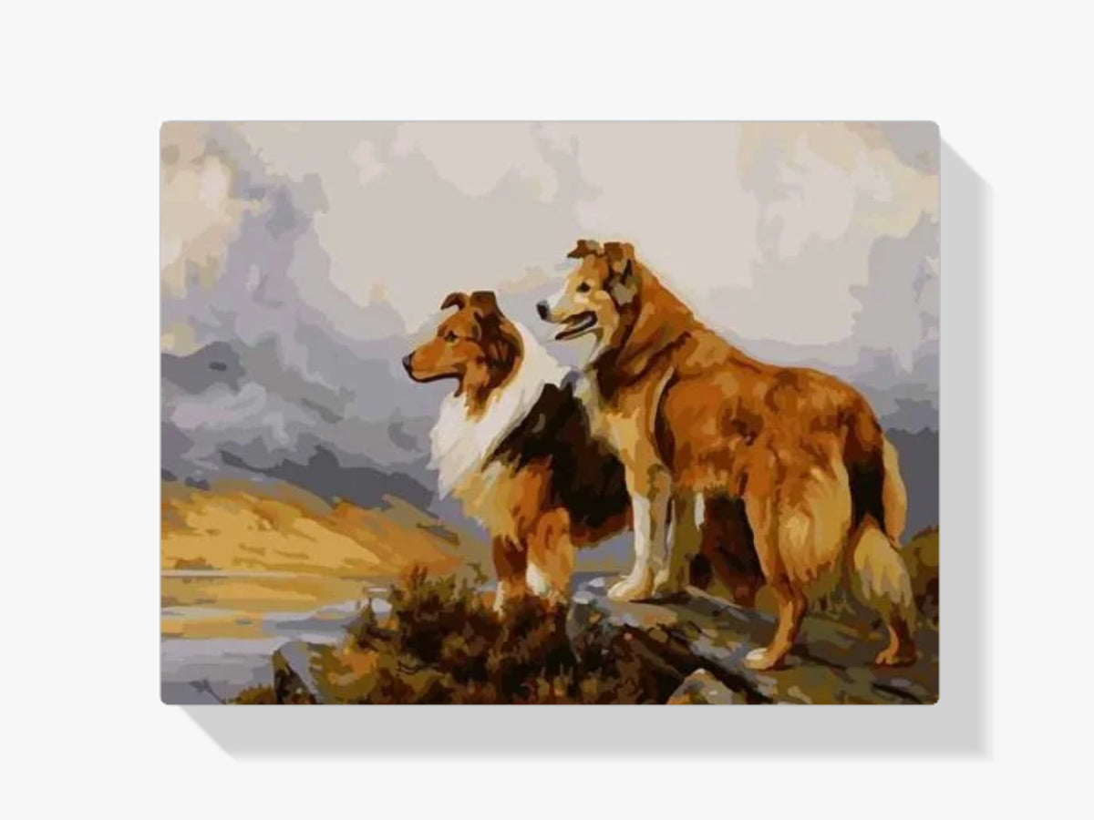 Malen nach Zahlen – Zwei schöne Hunde