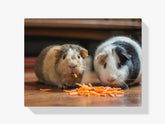 Meerschweinchen knabbern - Malen nach Zahlen