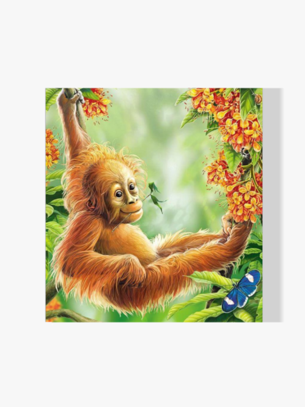 Orang-Utan - Malen nach Zahlen