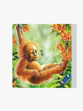 Orang-Utan - Malen nach Zahlen