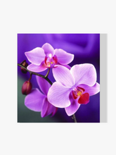 Orchidee - Malen nach Zahlen