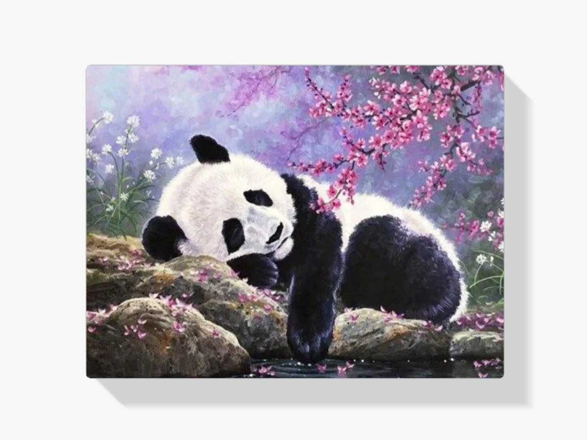 Pandabär - Malen nach Zahlen