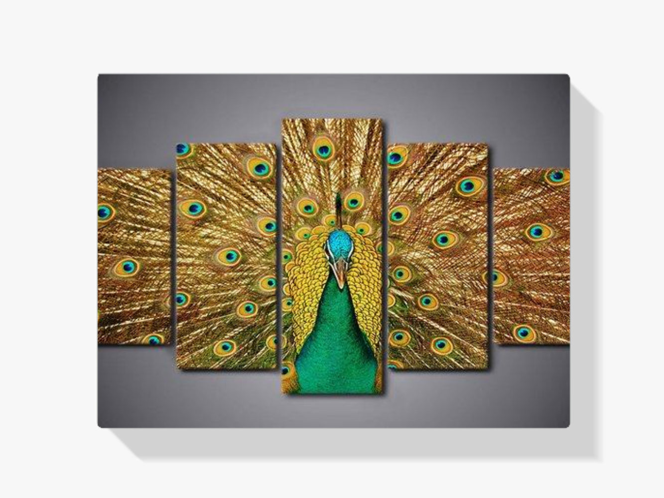 Pfau | 5 Teile - Malen nach Zahlen