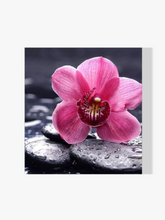 Rosa Blume auf Stein - Malen nach Zahlen