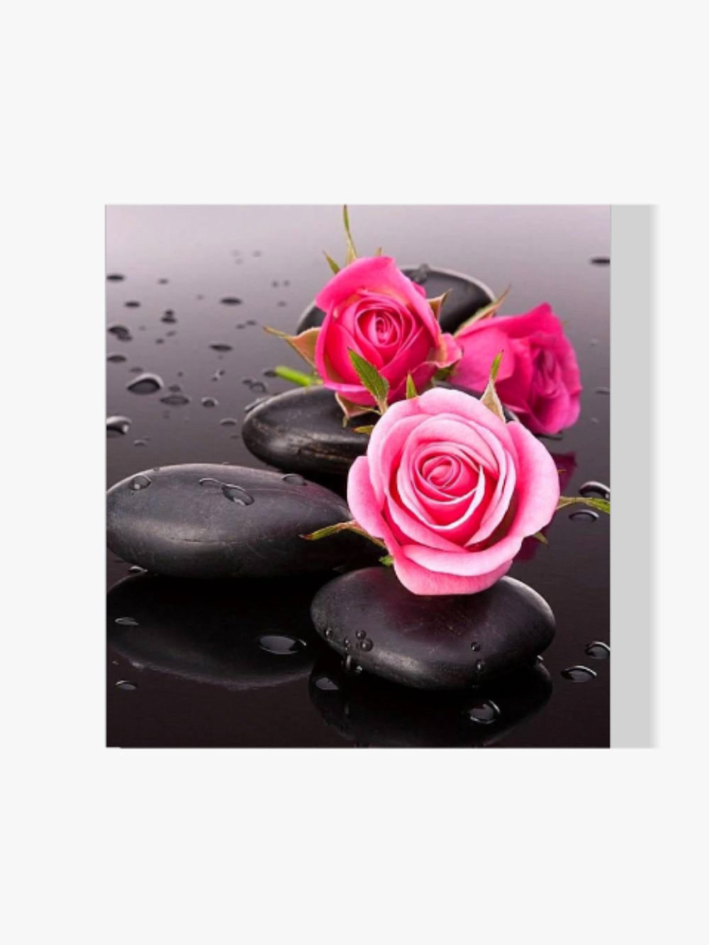 Rosa Rose - Malen nach Zahlen