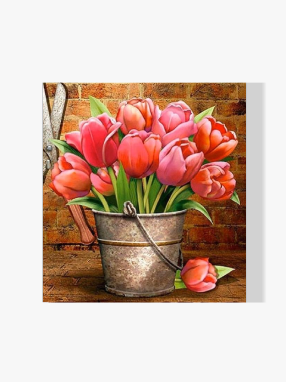 Rosa Tulpen - Malen nach Zahlen
