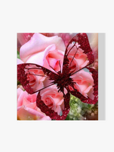 Rose - Schmetterling - Malen nach Zahlen