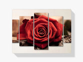 Rose | 5 Teile - Malen nach Zahlen