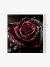 Rote Rose - Malen nach Zahlen