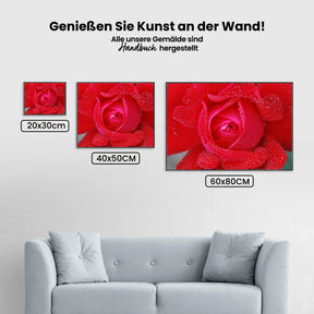 Rote Rose - Malen nach Zahlen