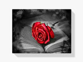 Rote Rose - Malen nach Zahlen