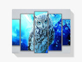 Schnee-Eule | 5 Teile - Malen nach Zahlen