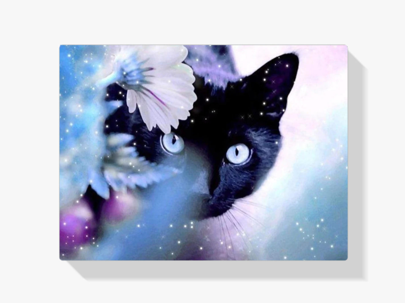 Schwarze Katze - Malen nach Zahlen