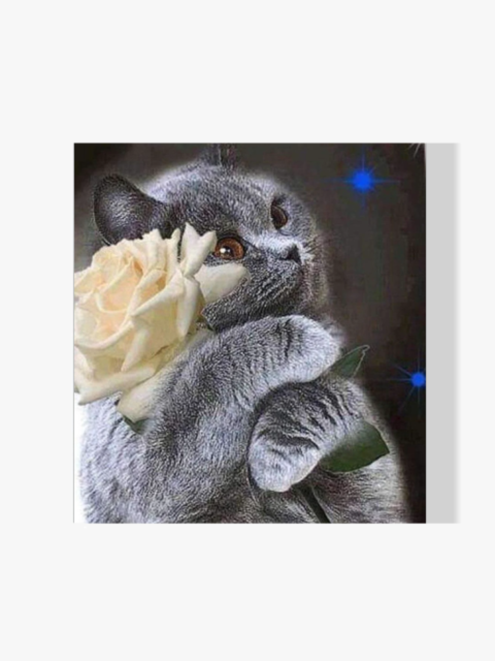 Schwarze Katze mit Blume - Malen nach Zahlen