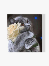 Schwarze Katze mit Blume - Malen nach Zahlen
