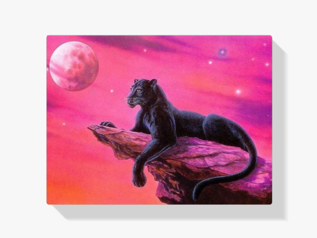 Schwarzer Panther auf einem Felsen - Malen nach Zahlen