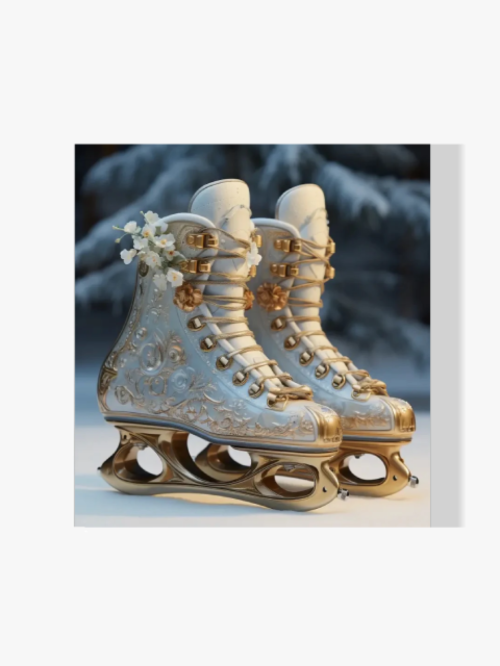 Skating-Schuhe - Malen nach Zahlen