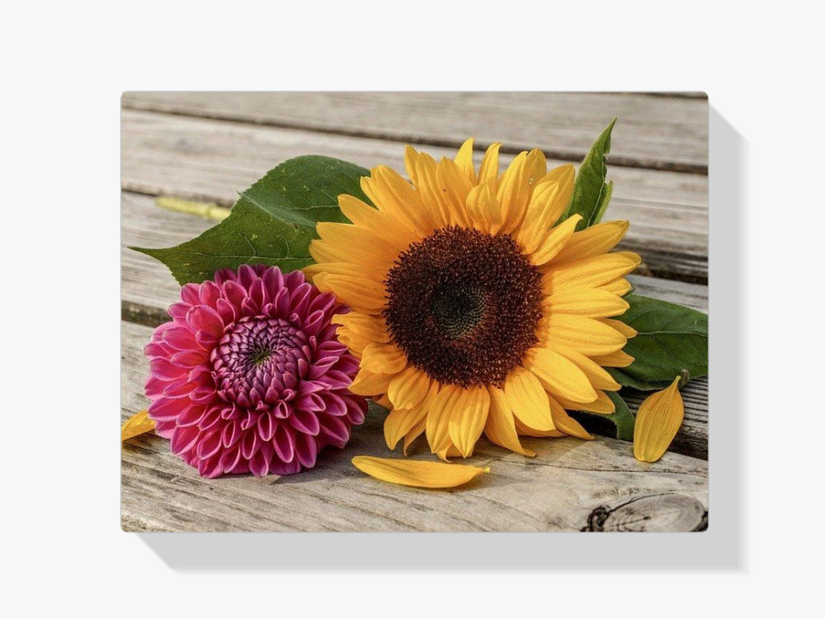 Sommer Blumen - Malen nach Zahlen