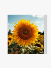 Sonnenblume - Malen nach Zahlen