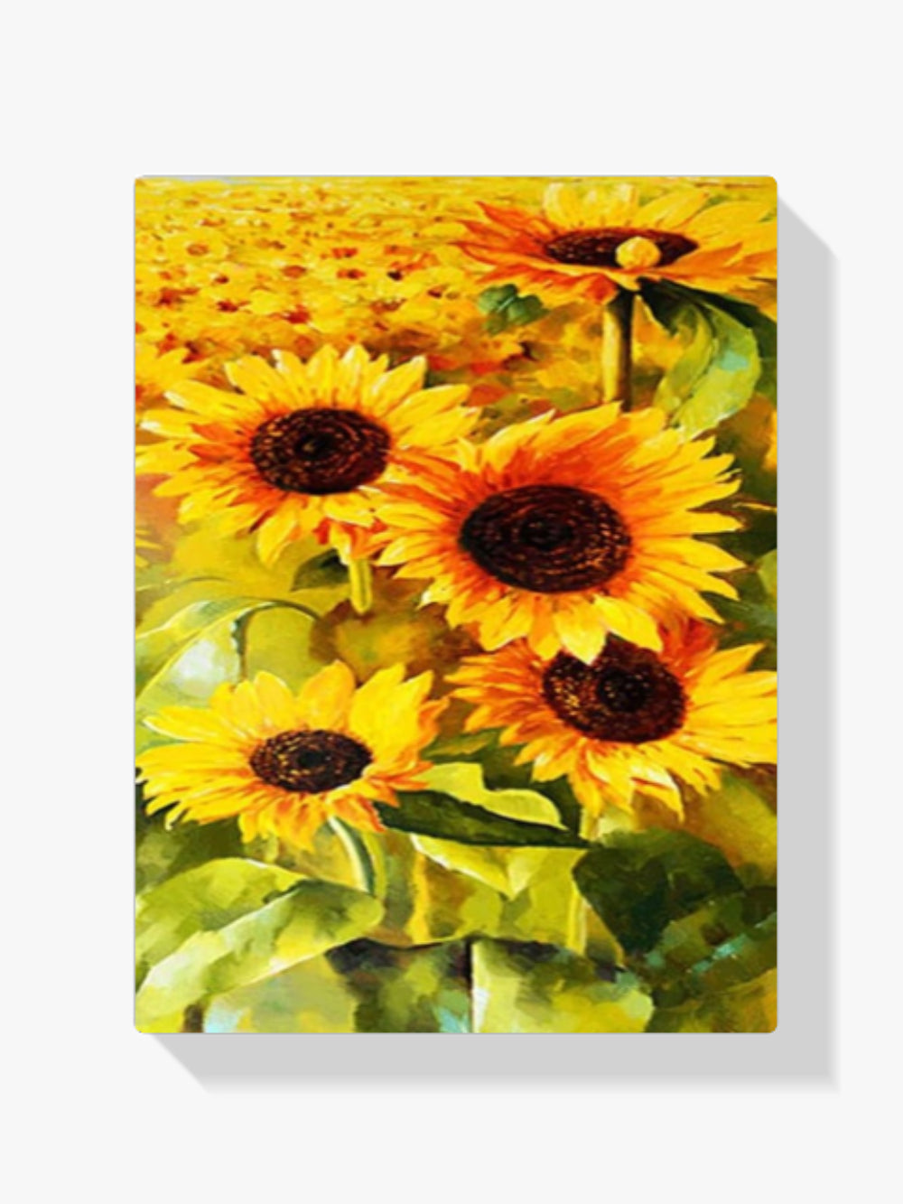 Sonnenblume XL - Malen nach Zahlen