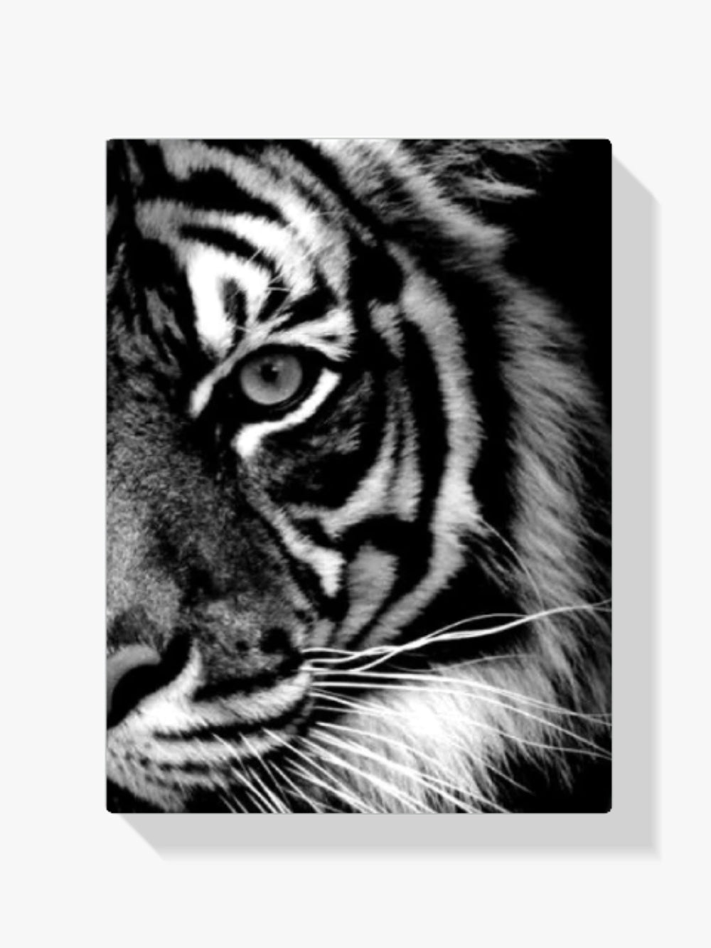 Tiger - Malen nach Zahlen