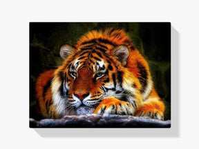 Tiger - Malen nach Zahlen