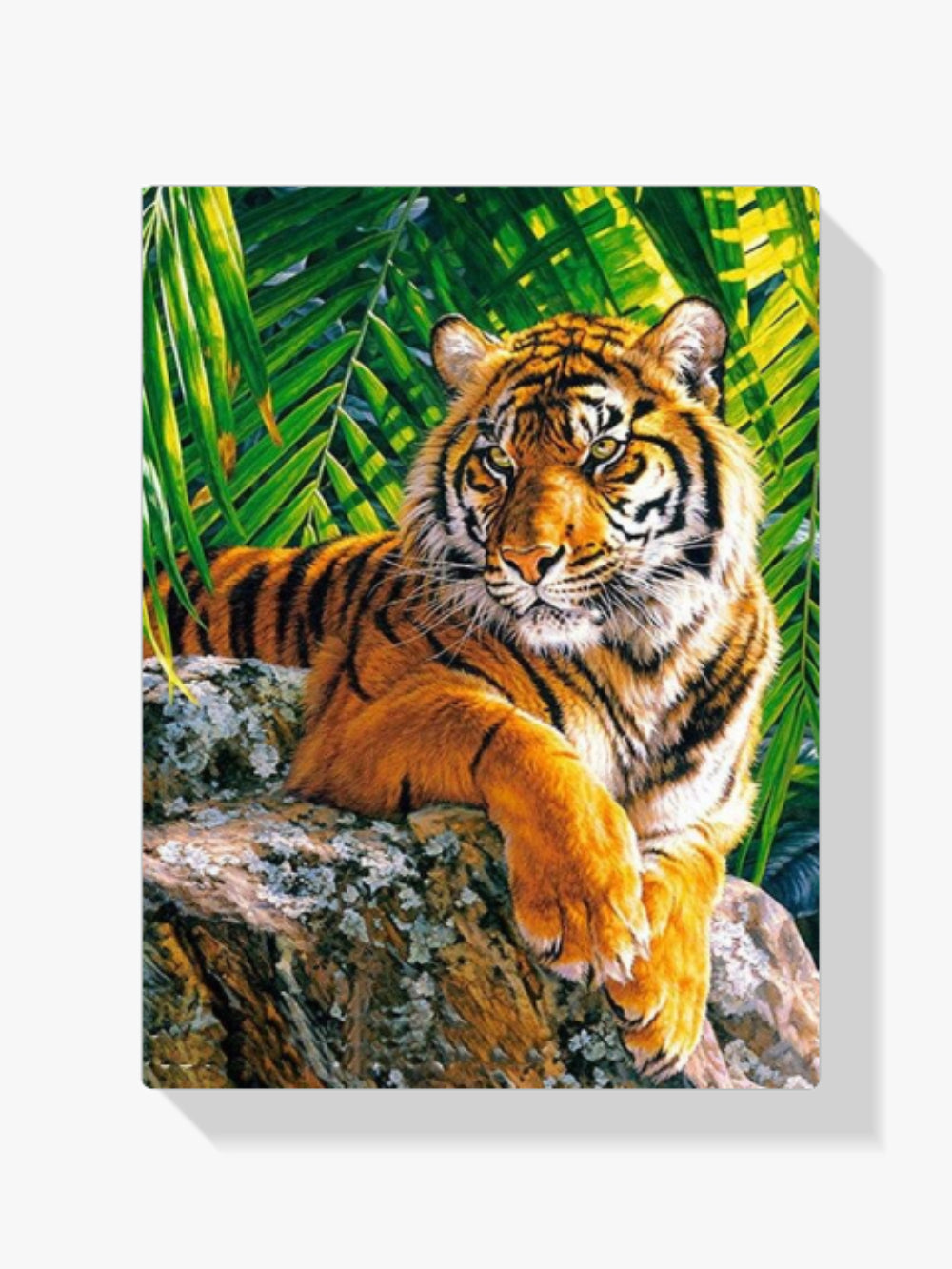 Tiger - Malen nach Zahlen