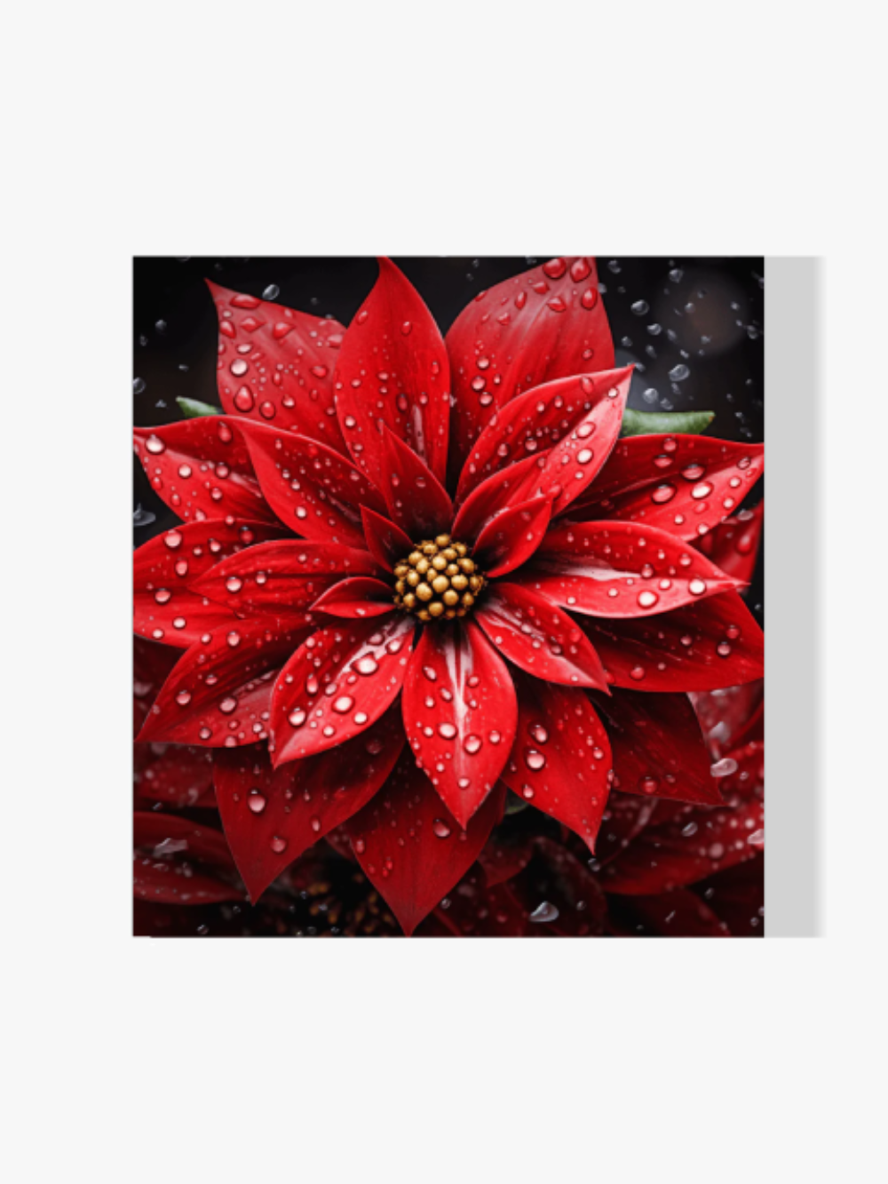 Weihnachtsblume - Malen nach Zahlen