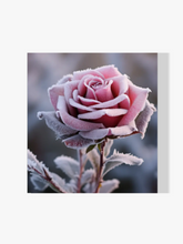 Winterrose - Malen nach Zahlen
